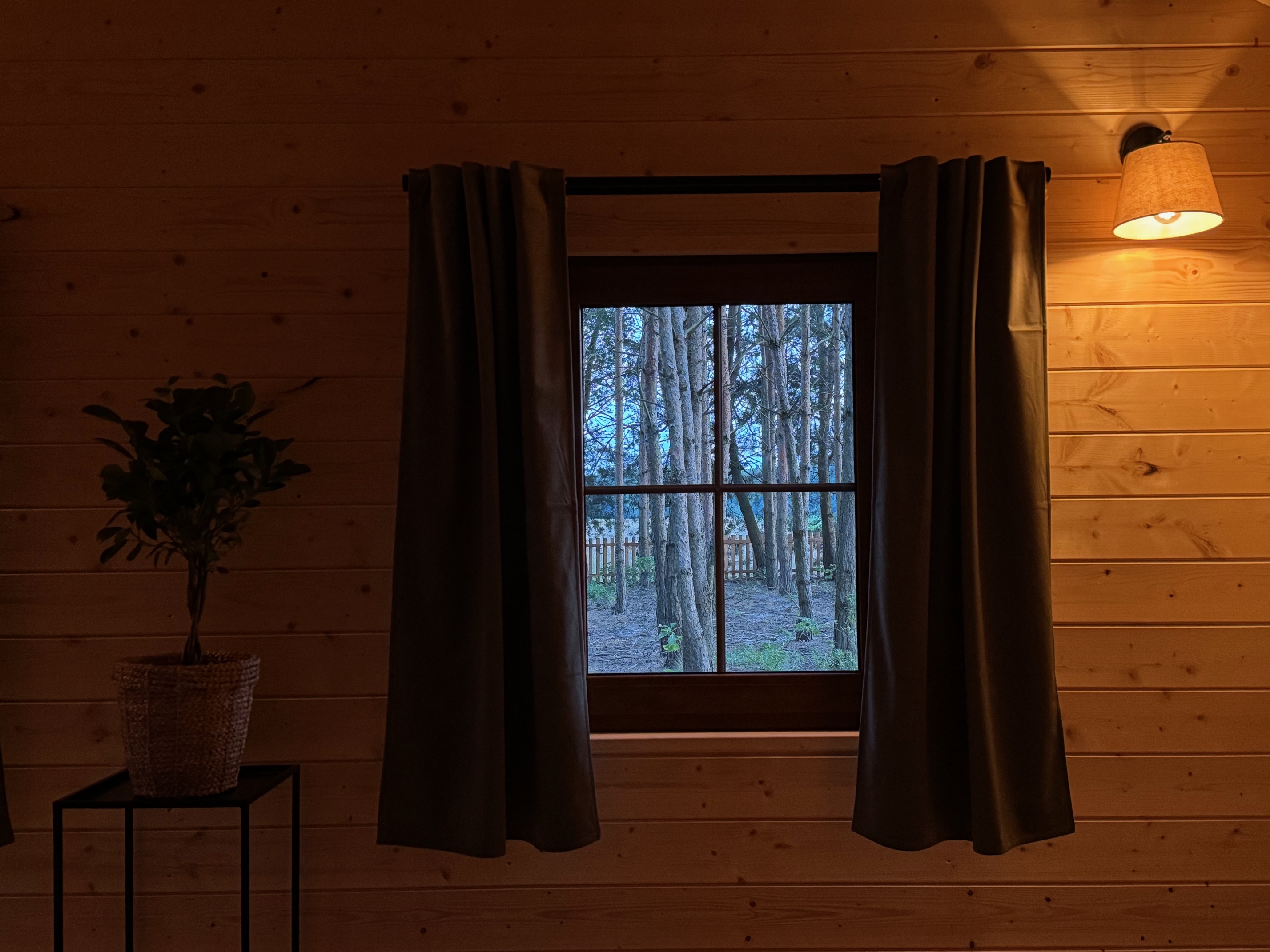 Forest 19