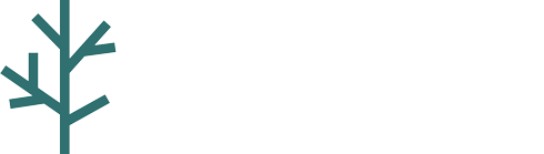 Forest Spa and Massage
